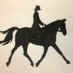 Horse and rider sample