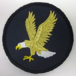 Eagle metallic thread on patch