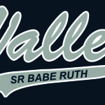 Valley Sr Babe Ruth artwork proof